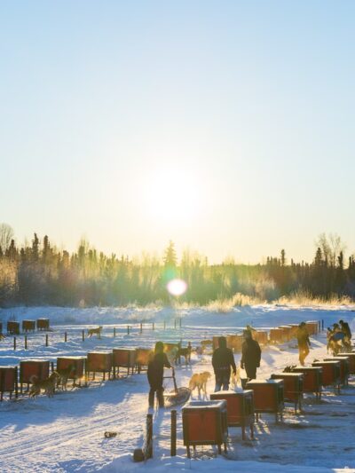 AK Sled Dog Tours - Talkeetna, AK