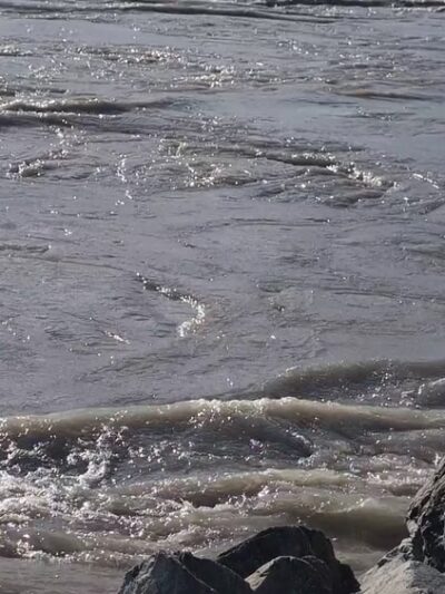 Talkeetna Riverfront Park - Talkeetna, AK