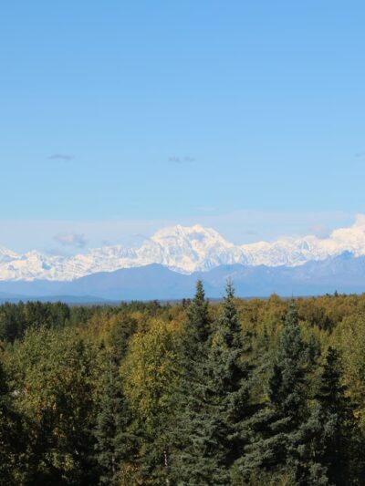Talkeetna Riverfront Park - Talkeetna, AK