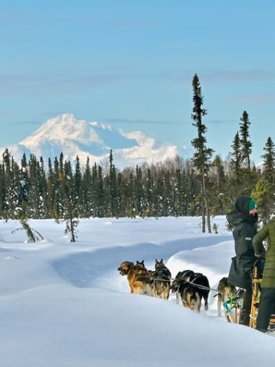 Susitna Sled Dog Adventures - Talkeetna, AK