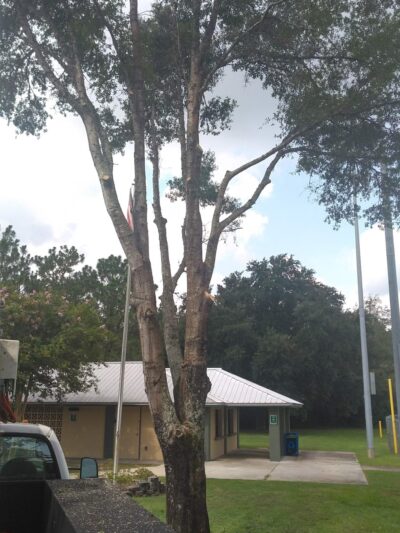 J. Lewis Hall Sr. Woodville Park and Recreation Complex - Tallahassee, FL