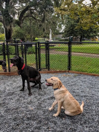 All Saints Dog Park - Tallahassee, FL