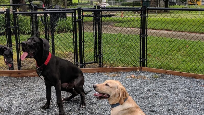 All Saints Dog Park - Tallahassee, FL