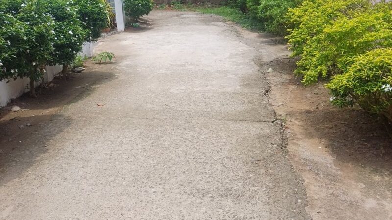 FAMU Way Dog Park - Tallahassee, FL
