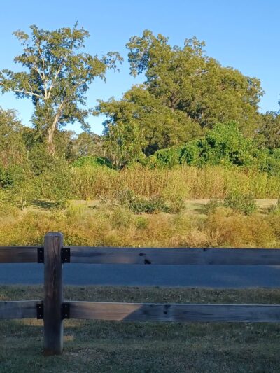 Junction Park - Tallahassee, FL