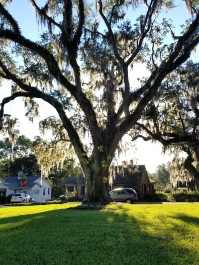 Los Robles Park - Tallahassee, FL