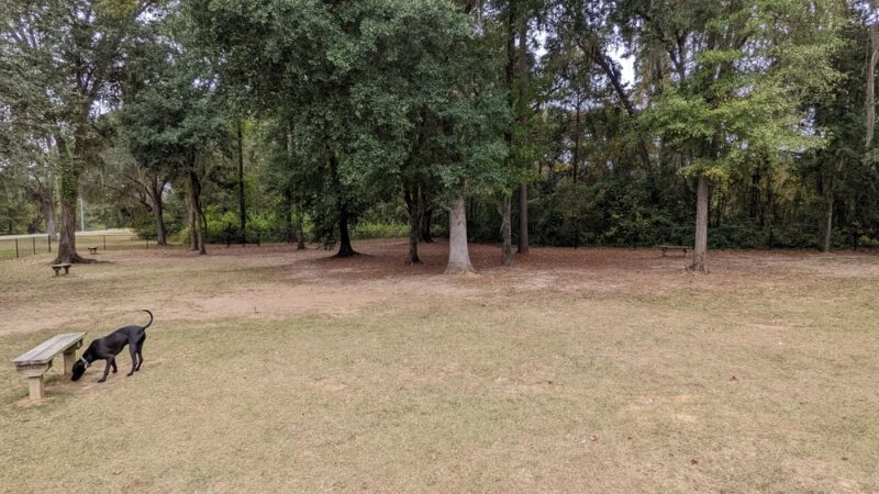 Northside Dog Park - Tallahassee, FL