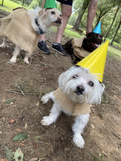 Northside Dog Park - Tallahassee, FL