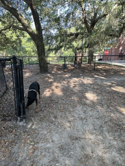Park Avenue Dog Park - Tallahassee, FL