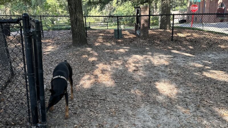 Park Avenue Dog Park - Tallahassee, FL
