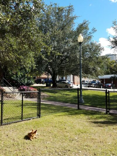 Park Avenue Dog Park - Tallahassee, FL