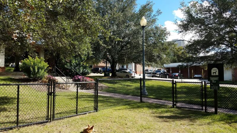 Park Avenue Dog Park - Tallahassee, FL