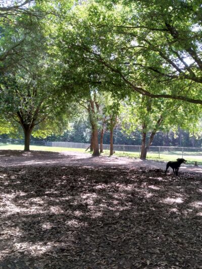 Tom Brown Dog Park - Tallahassee, FL