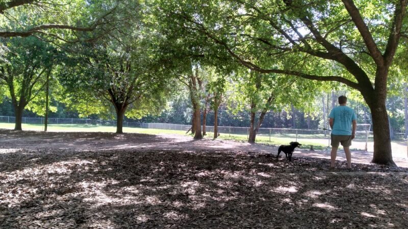 Tom Brown Dog Park - Tallahassee, FL