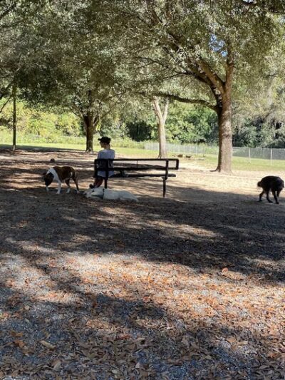 Tom Brown Dog Park - Tallahassee, FL