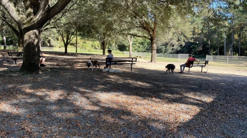 Tom Brown Dog Park - Tallahassee, FL