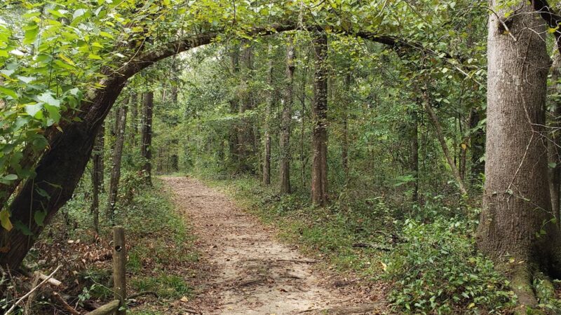 Tom Brown Dog Park - Tallahassee, FL