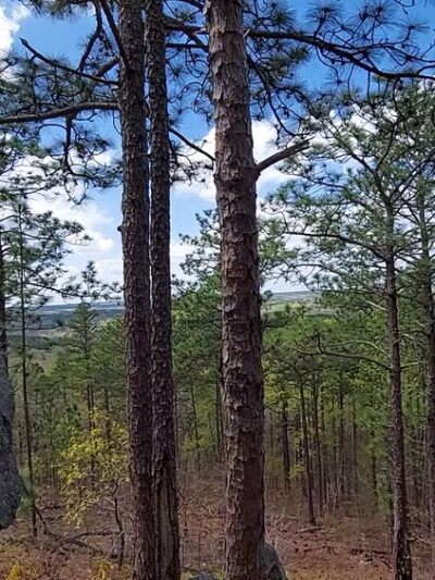 John B. Scott Forever Wild Trail - Trailhead - Tallassee, AL