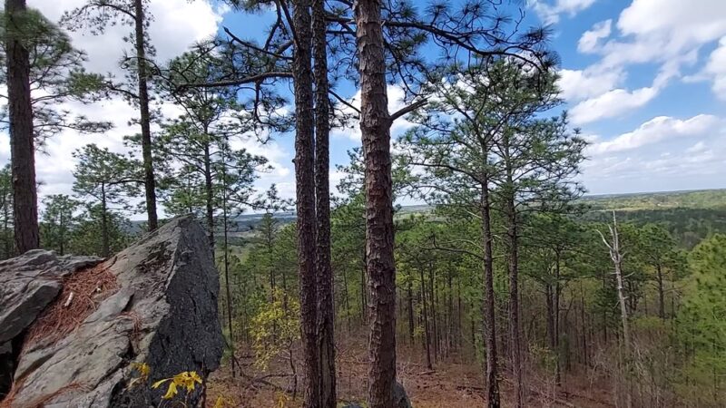 John B. Scott Forever Wild Trail - Trailhead - Tallassee, AL