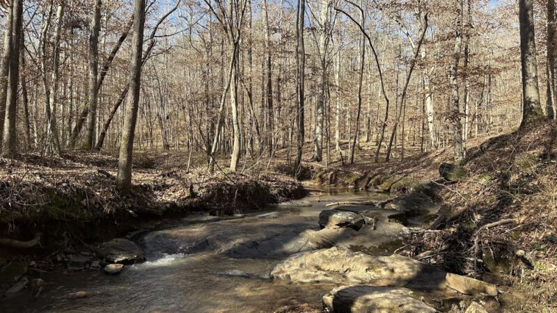 John B. Scott Forever Wild Trail - Trailhead - Tallassee, AL