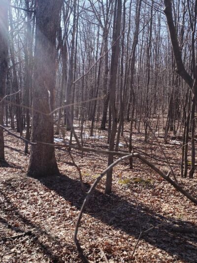 Bungalow Park - Tamaqua, PA