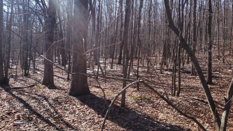 Bungalow Park - Tamaqua, PA