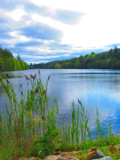 Owl Creek Reservoir - Tamaqua, PA