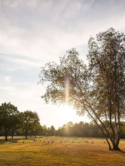 Sky-View Memorial Park - Tamaqua, PA
