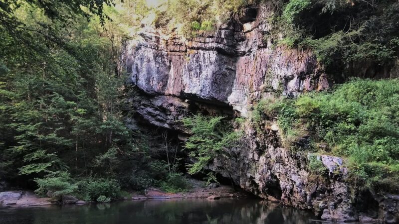 State Game Lands Number 227 - Tamaqua, PA