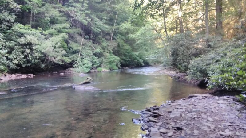 State Game Lands Number 227 - Tamaqua, PA