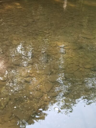 State Game Lands Number 227 - Tamaqua, PA