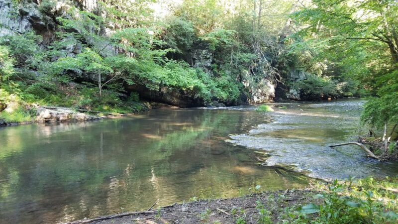 State Game Lands Number 227 - Tamaqua, PA