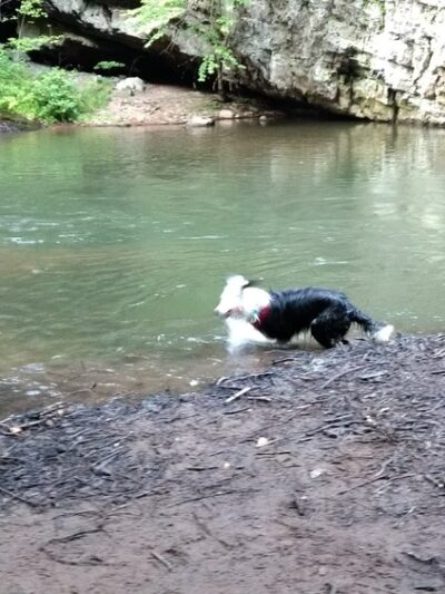 State Game Lands Number 227 - Tamaqua, PA