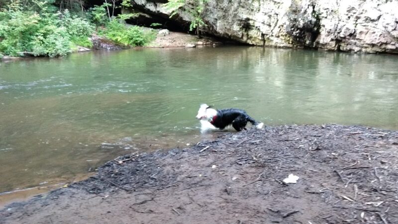 State Game Lands Number 227 - Tamaqua, PA