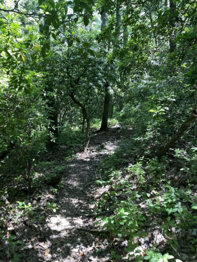 Foothills Trail - Fish Hatchery Rd Trailhead - Tamassee, SC