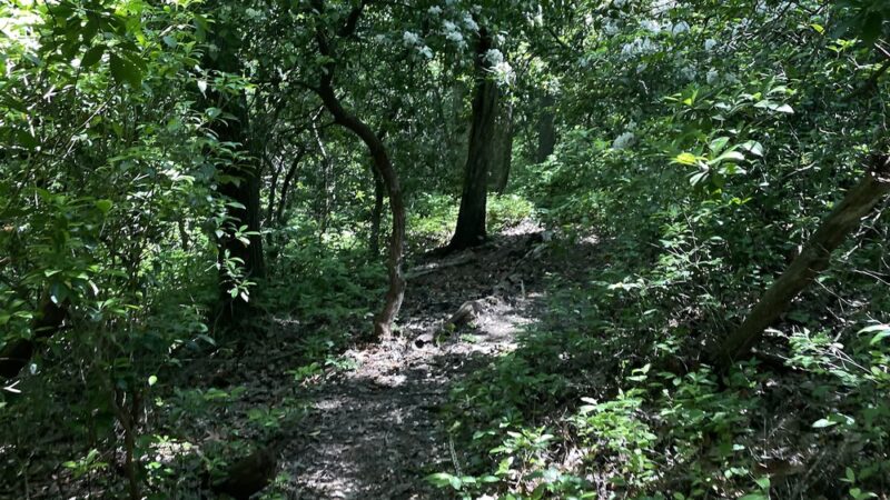 Foothills Trail - Fish Hatchery Rd Trailhead - Tamassee, SC