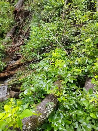 Lee Falls Trailhead - Tamassee, SC
