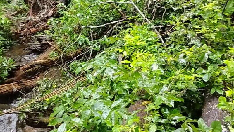 Lee Falls Trailhead - Tamassee, SC