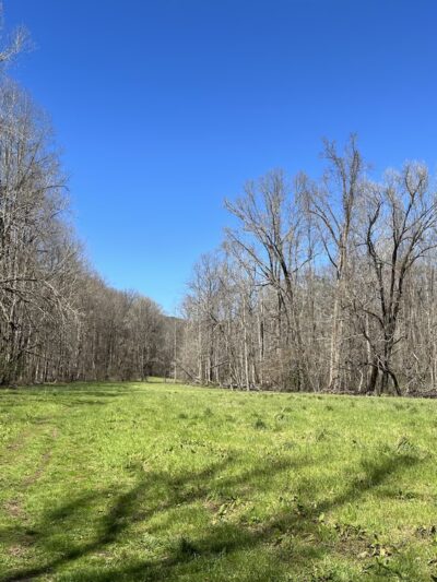 Lee Falls Trailhead - Tamassee, SC