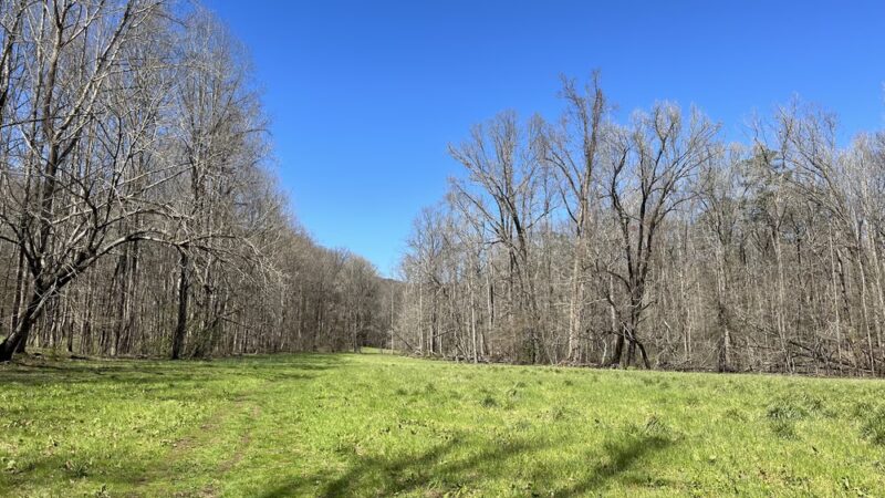 Lee Falls Trailhead - Tamassee, SC