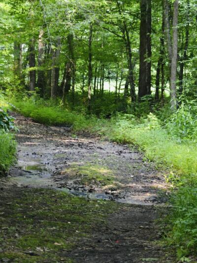 Lee Falls Trailhead - Tamassee, SC