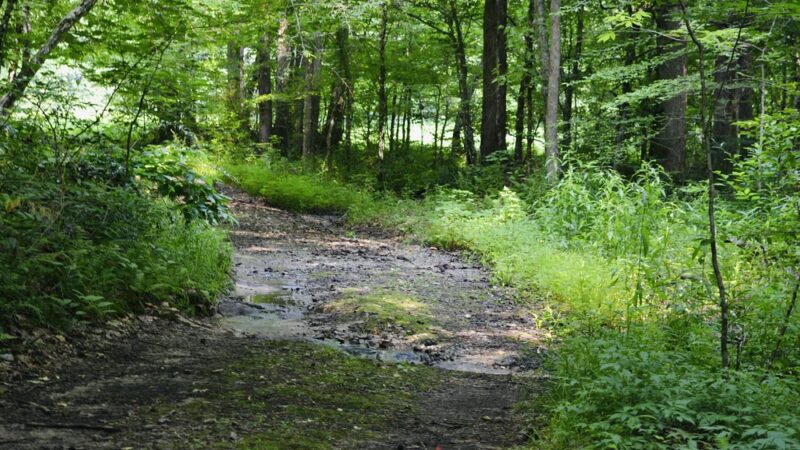 Lee Falls Trailhead - Tamassee, SC