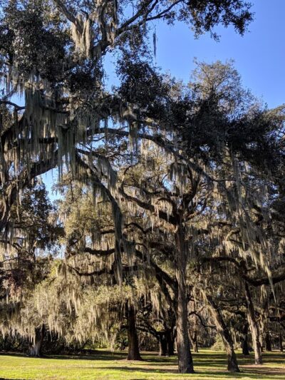 22nd Street Park - Tampa, FL