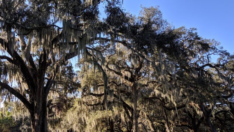 22nd Street Park - Tampa, FL