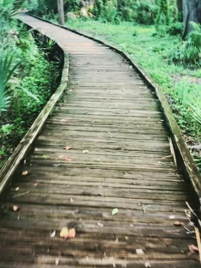 Al Lopez Park - Tampa, FL
