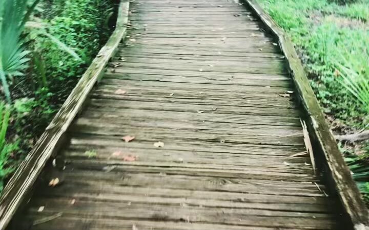 Al Lopez Park - Tampa, FL