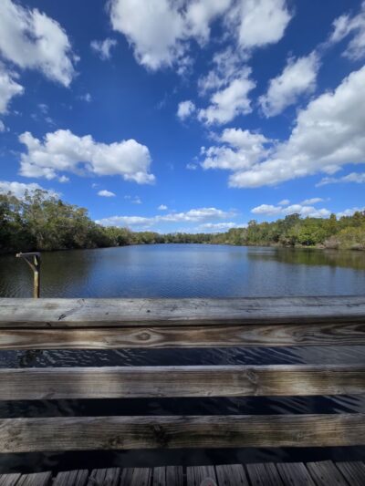 Al Lopez Park - Tampa, FL