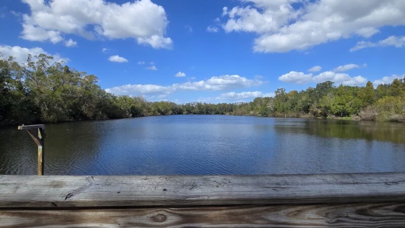 Al Lopez Park - Tampa, FL