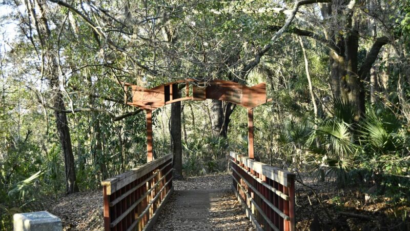 Al Lopez Park - Tampa, FL