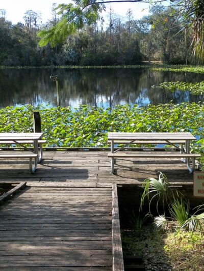 Al Lopez Park - Tampa, FL